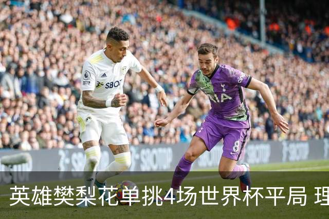 英雄樊梨花单挑4场世界杯平局 理论中足彩500万